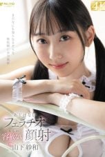 (English Sub) FSDSS-934 Sawa Yamashita