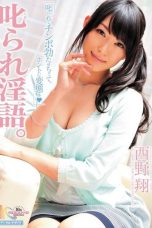 (English Sub) MIDD-757 Sho Nishino
