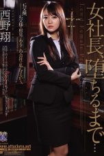 (English Sub) RBD-378 Sho Nishino