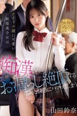 (Sub Indo) IPZZ-692 Suzuna Yamada