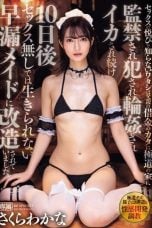 (English Sub) IPZZ-273 Wakana Sakura