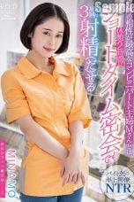 (English Sub) STARS-980 MINAMO